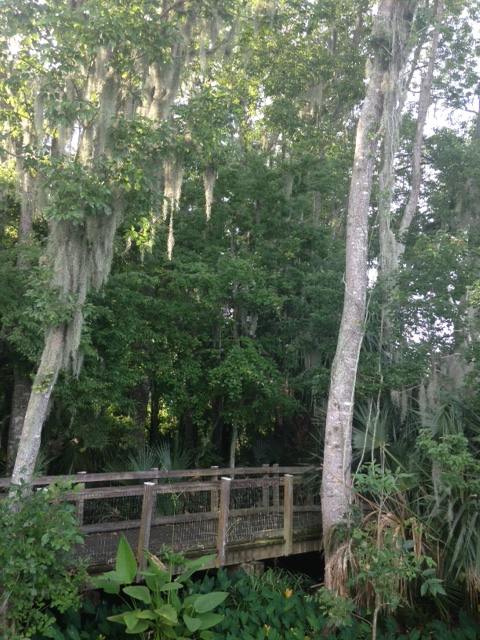 oaklandnaturepreserve