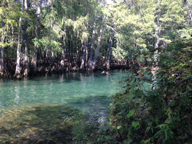 manateespringsstatepark