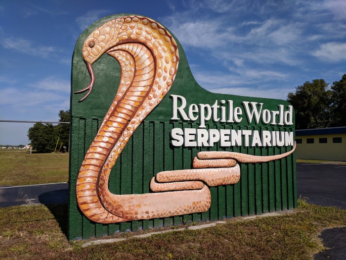 reptileworld